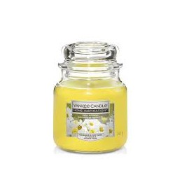 Candela profumata Yankee...